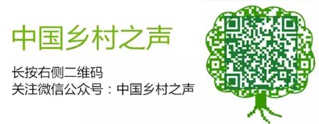 澳门威尼克斯人当心这些所谓赚钱项目是陷阱！